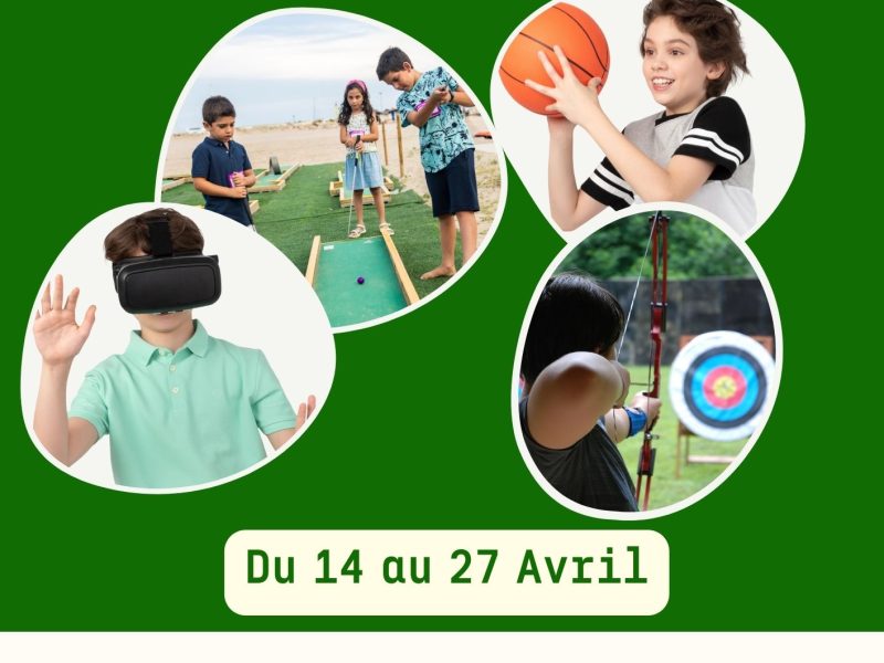 Titre du stage d'été